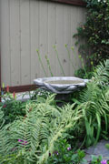 birdbath