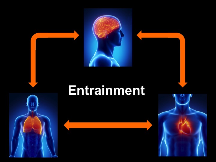 Entrainment - heart, lungs, brain wave state